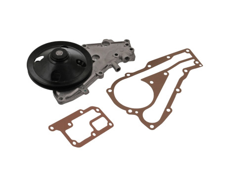Water Pump 09024 FEBI