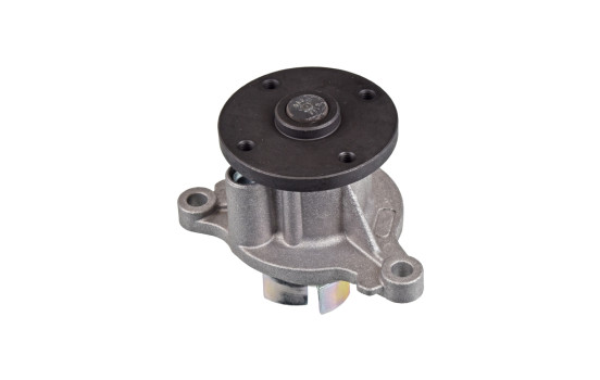 Water Pump ADG09190 Blue Print