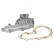 Water Pump ADJ139108 Blue Print