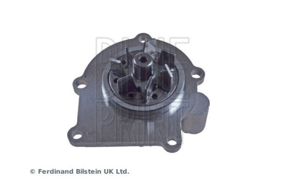 Water Pump ADJ139124 Blue Print, Image 4