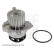 Water Pump ADV189102 Blue Print, Thumbnail 6