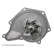 Water Pump ADV189105 Blue Print, Thumbnail 6