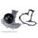 Water Pump ADZ99118 Blue Print, Thumbnail 3