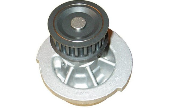 Water Pump DW-1002 Kavo parts