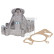 Water pump, engine cooling 185670 FEBI