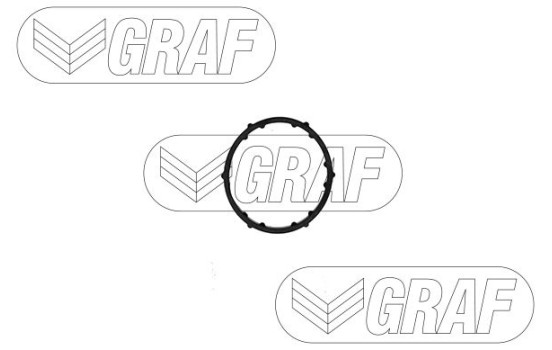 Water pump, engine cooling PA1498 Graf, Image 2