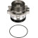 Water pump, engine cooling