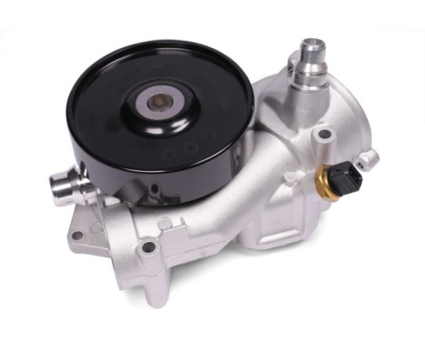 Water pump, engine cooling