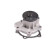 Water pump, engine cooling