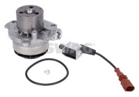 Water pump, engine cooling