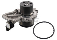 Water pump, engine cooling