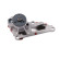Water pump, engine cooling