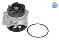 Water pump, engine cooling