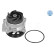 Water pump, engine cooling