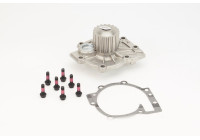 Water pump, engine cooling