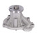 Water pump, engine cooling