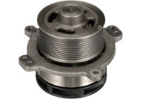 Water pump, engine cooling