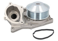 Water pump, engine cooling