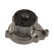 Water Pump MW-1466 Kavo parts, Thumbnail 2