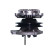 Water Pump NW-1205 Kavo parts