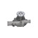 Water Pump NW-1275 Kavo parts, Thumbnail 5