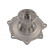 Water Pump NW-2239 Kavo parts