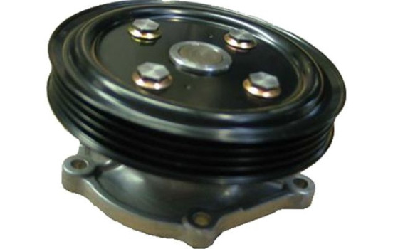 Water Pump SW-1909 Kavo parts