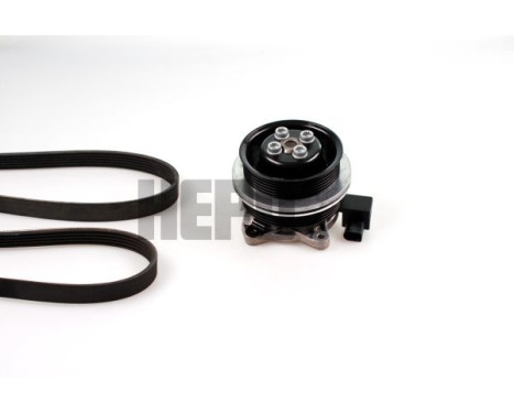Water Pump + V-Ribbed Belt Kit