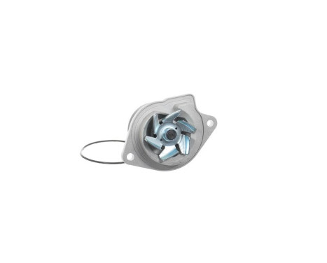 Water Pump VKPC 81215 SKF, Image 4