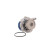 Water Pump VKPC 81623 SKF, Thumbnail 2
