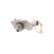 Water Pump VKPC 84208 SKF, Thumbnail 2
