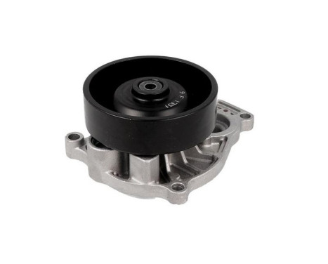 water pump VKPC 88318 SKF