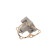 Water Pump VKPC 95857 SKF, Thumbnail 5
