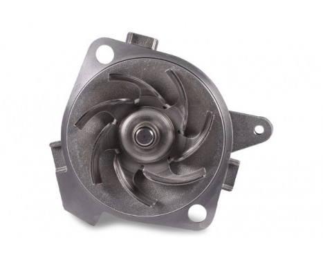 Water Pump, Image 2