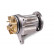 Water Pump, Thumbnail 2