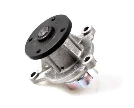 Water Pump, Image 3