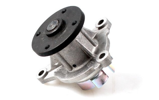 Water Pump, Image 3