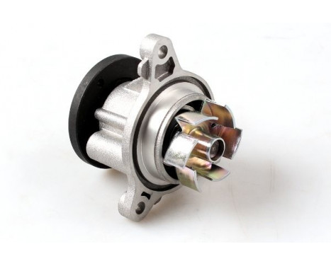 Water Pump, Image 4