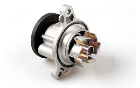 Water Pump, Image 4