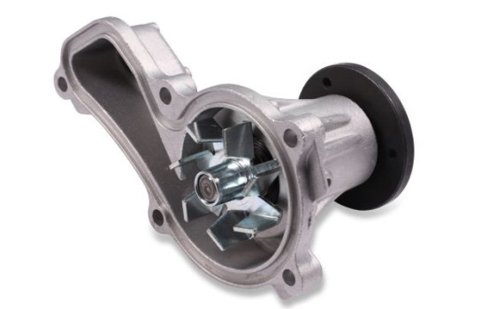 Water Pump, Image 2