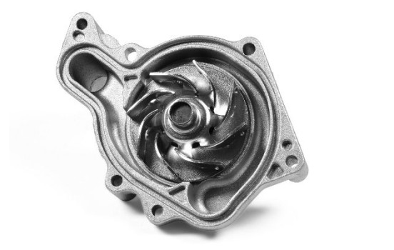 Water Pump, Image 2