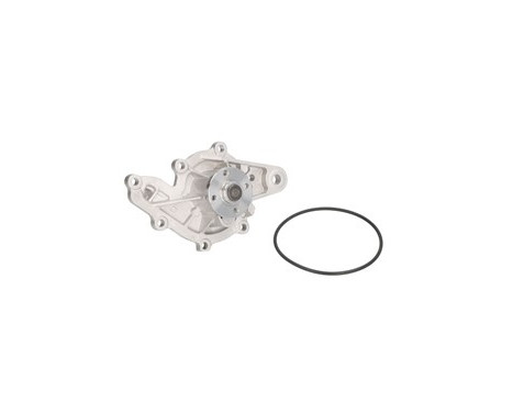 Water Pump, Image 2