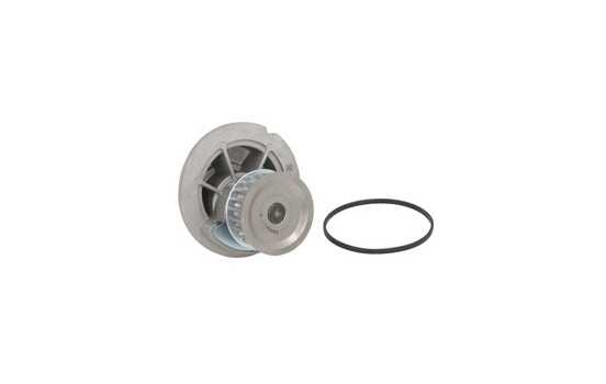 Water Pump, Image 2