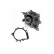 Water Pump, Thumbnail 2