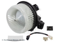 Interior Blower
