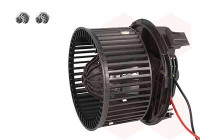 Interior Blower