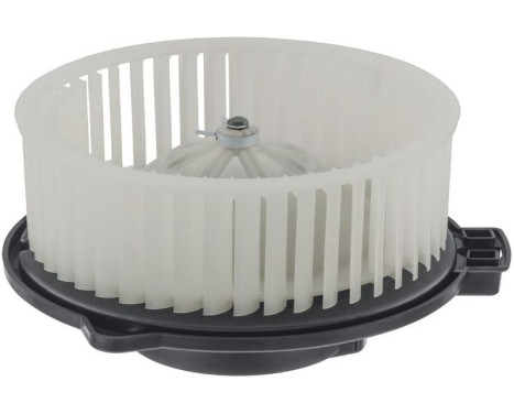 Interior Blower