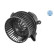 Interior ventilation