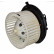 stove fan TSP0545019 Delphi