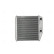 Heater radiator, interior heating